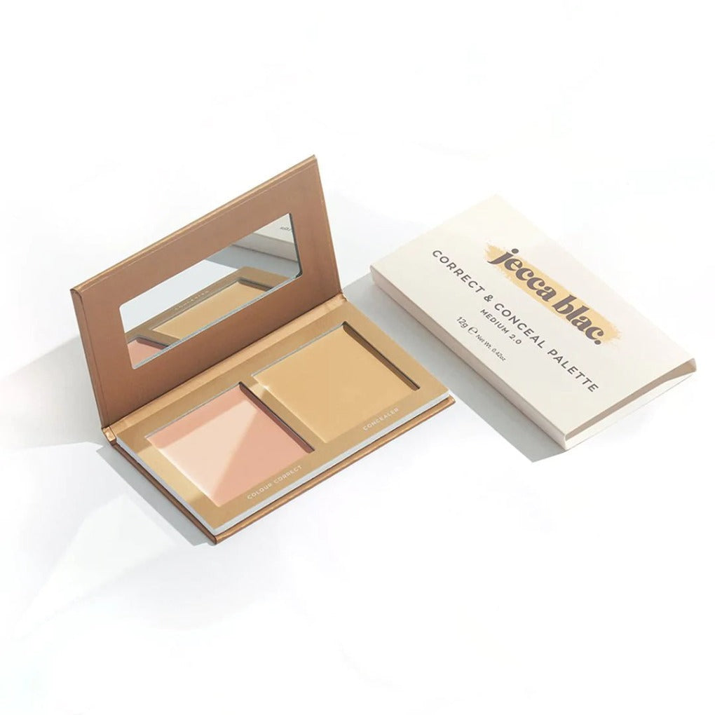 Correct & Conceal Palette